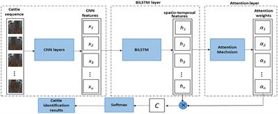 Automated Individual Cattle Identification Using Video Data: A Unified Deep Learning Architecture Approach